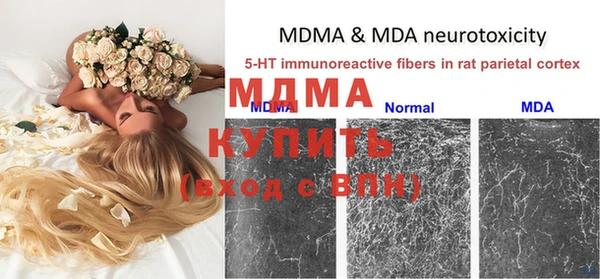 молекула духа Бугульма