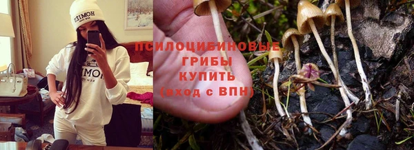 молекула духа Бугульма