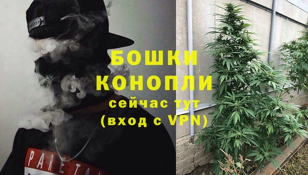 молекула духа Бугульма